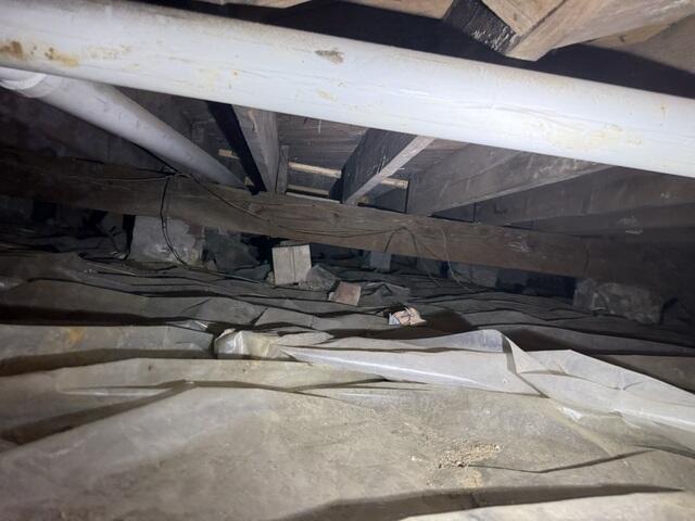 Humid Crawl Space
