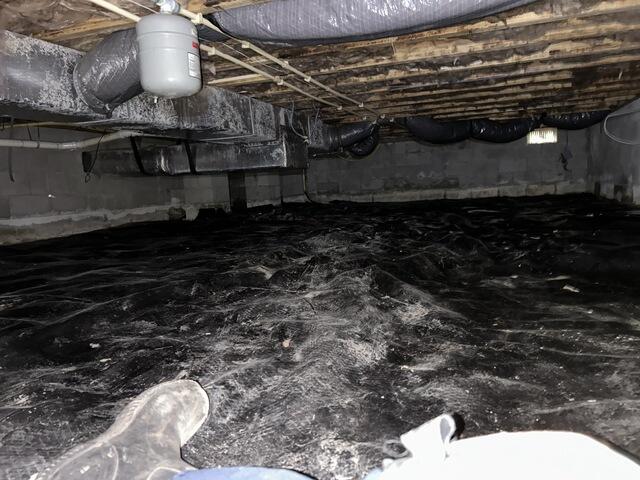 Before Photo