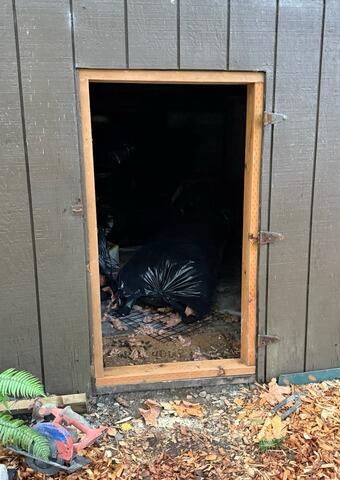 Exposed Access Way