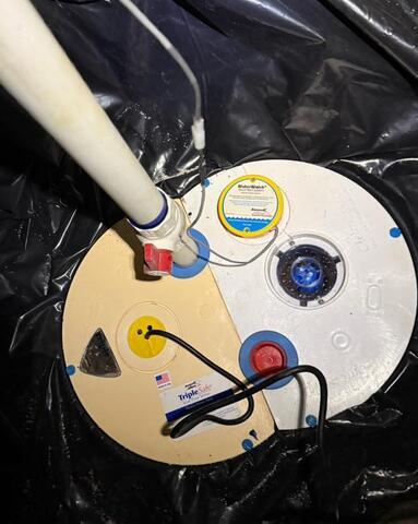 TripleSafe Sump Pump