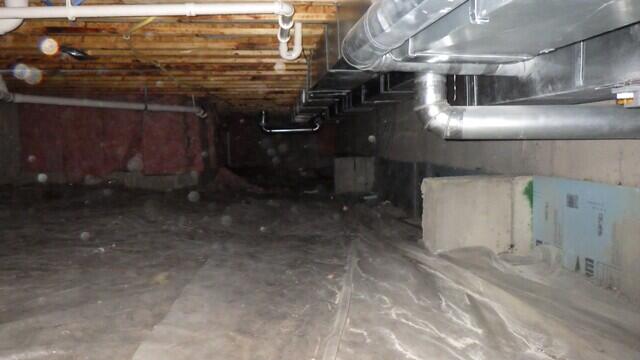 A homeowner in Zionsville, Indiana contacted Basement Systems of Indiana to address moisture issues, deteriorating insulation, and poor crawl space conditions. Foreman Josh and his crew removed old fiberglass insulation, completed structural repairs, and