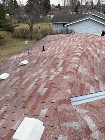 Up on the asphalt roof