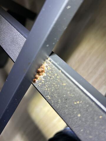 Throughout the Bed Frame