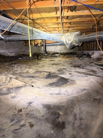 Nasty Crawl Space