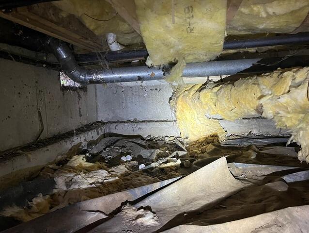 Humid Crawl Space