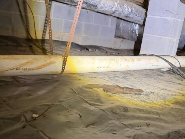Water Damage