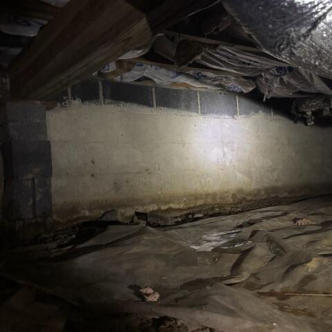 Damp Crawl Space Area