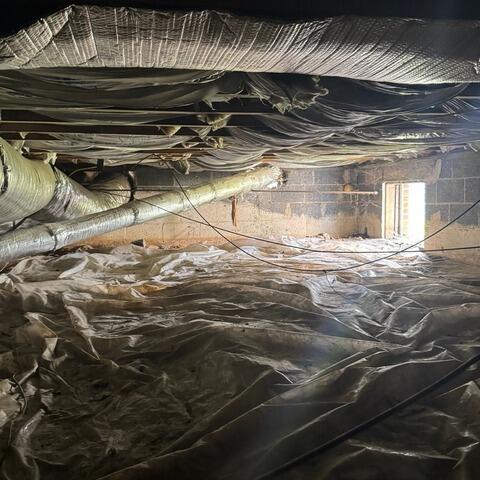 Original Crawl Space