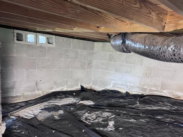 Mold Treated