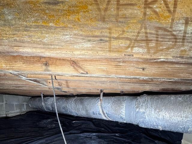 Mold on Wood Floor Joists
