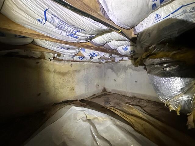 Wet Crawlspace
