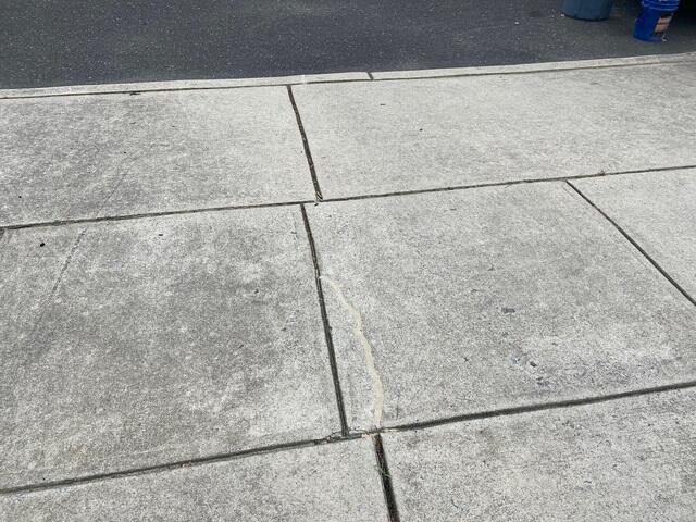 Cracked Driveway