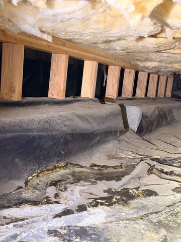 Dirty, Swampy Crawl Space