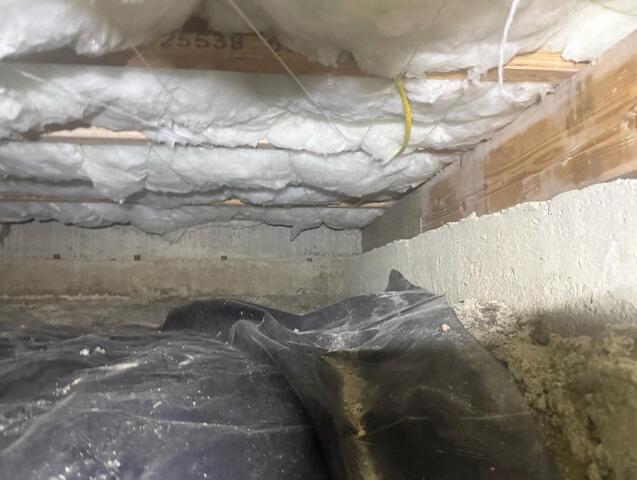 Ripped Vapor Barrier