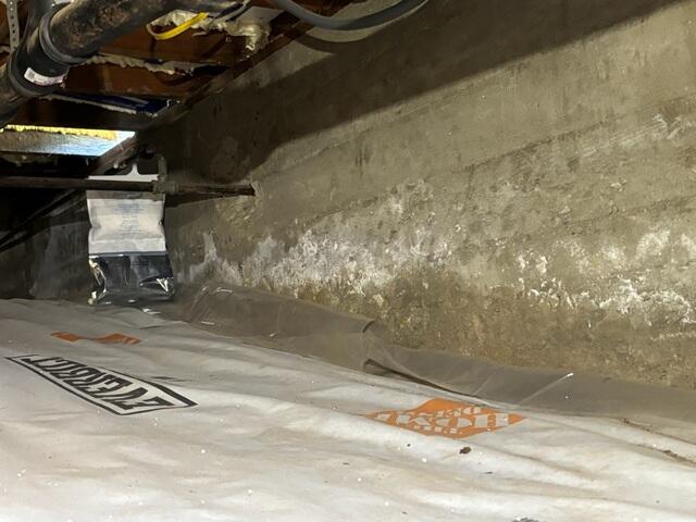 Crawl Space Foundation Wall Before Encapsulation