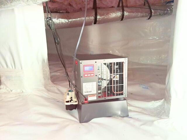SaniDry Sedona Dehumidifier