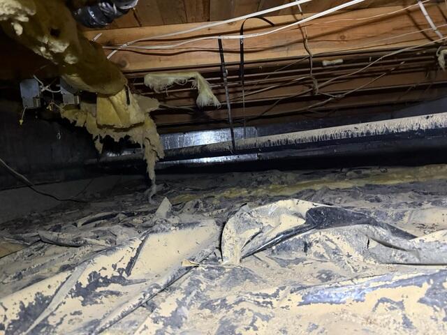 Dirty Crawl Space