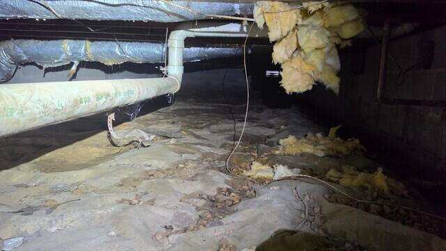 Crawl Space Inspection