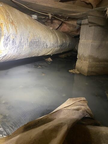 Standing Water