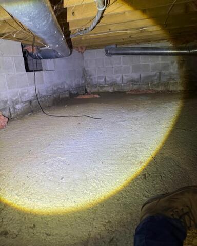 Damp and Musty Crawl Space