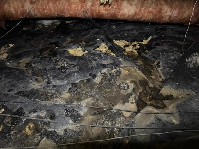Nasty Crawl Space
