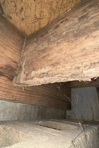 Mold and Wood Rot