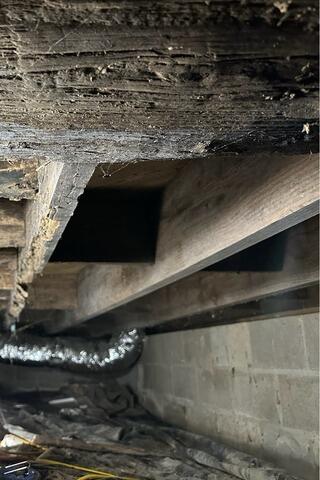 Wood Rot