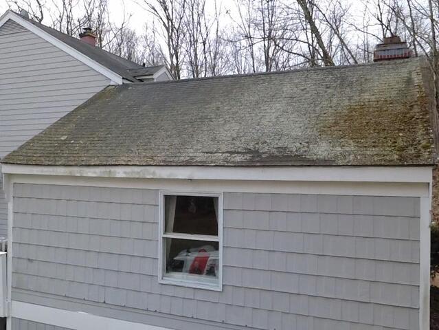 Before: Moss & Lichen