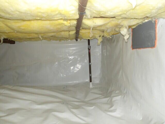 Angle 3 After