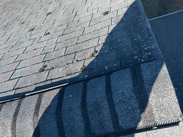A Closer Look at the Existing Shingles