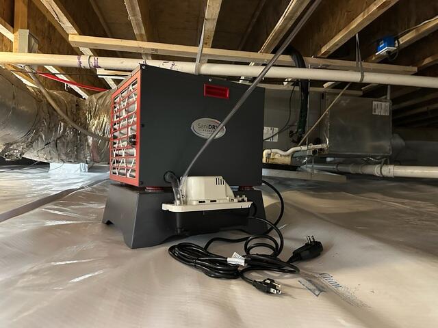 SaniDry Sedona Dehumidifier