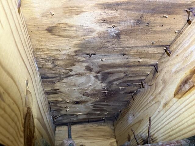 Moist Floor Boards
