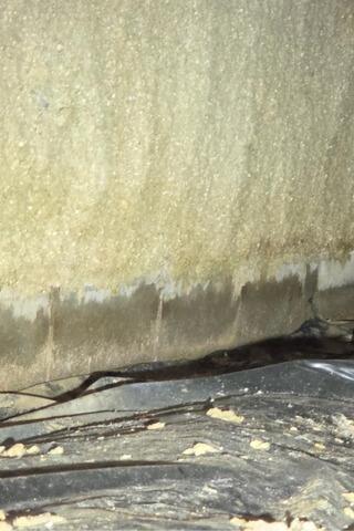 Moisture Damage