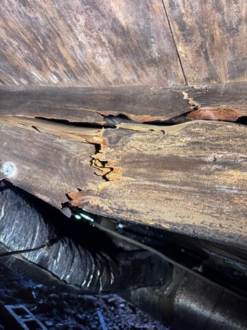 Rotting Beams