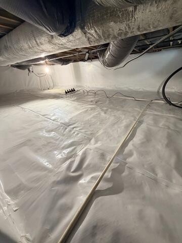CleanSpace