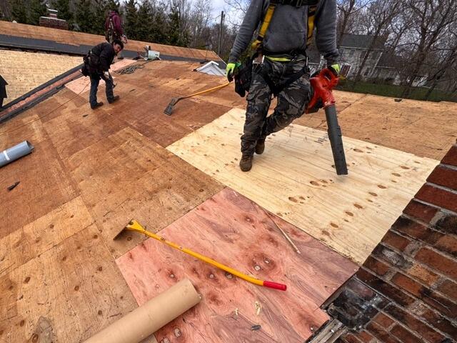 New CDX Plywood