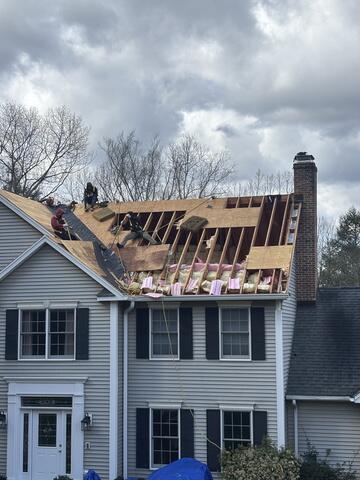 Damaged Plywood Removed
