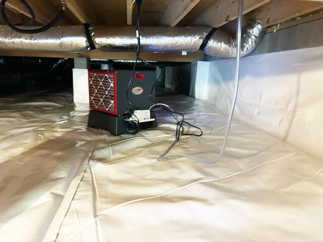 The SaniDry Sedona Dehumidifier