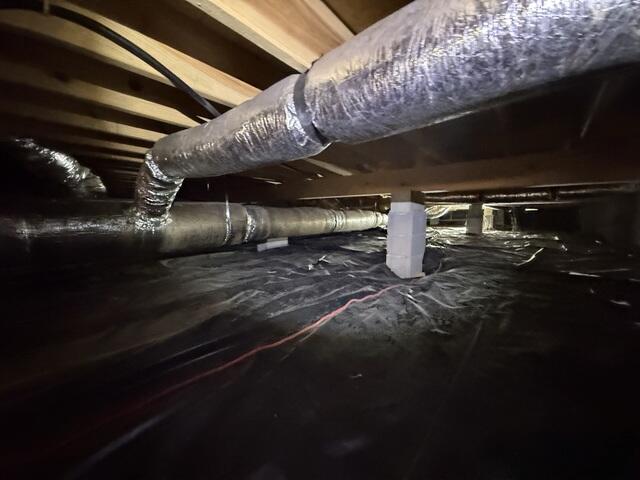 Crawl Space Debris