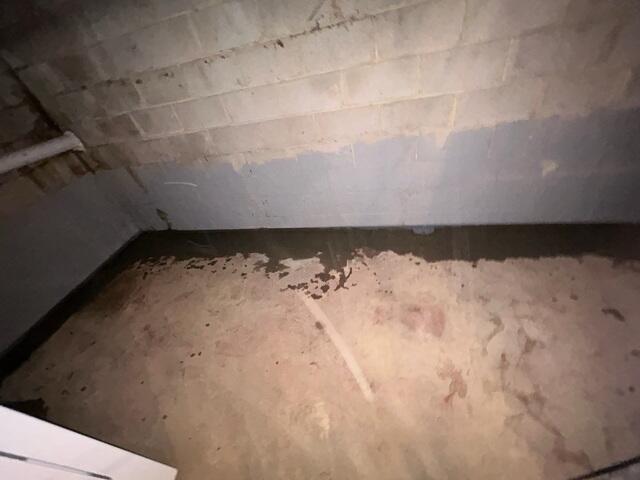 Drainage System