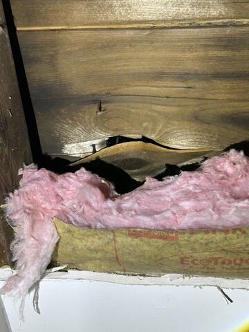 Attic Inspection