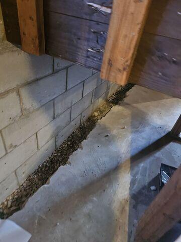 Trench Line