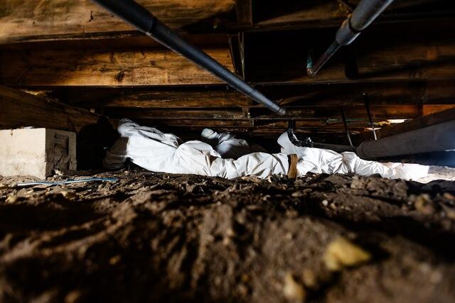 Crawl Space