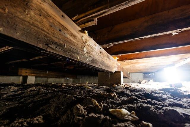 Wood Beams