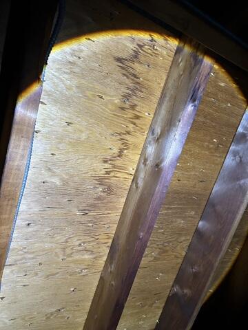 Water Damage in Attic