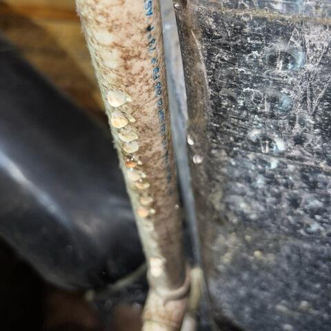 Pipe Condensation