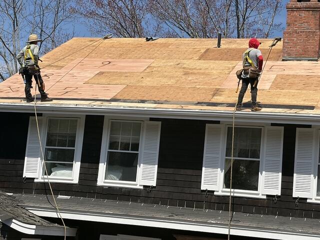 Installing New CDX Plywood