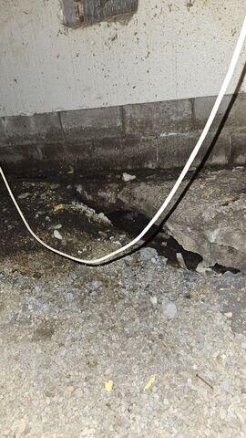 Moisture in Your Crawlspace