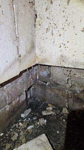 Mold Growth