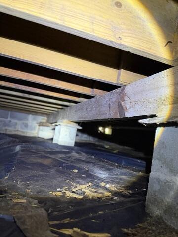 Crawl Space Inspection